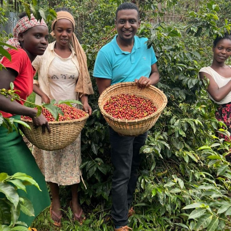 Black Friday Single Origin Pack