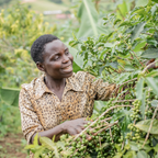 Coffee Of The Month - Bukonzo Dream