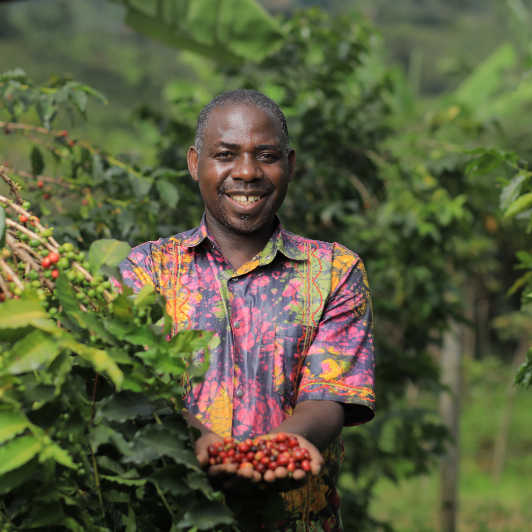 Coffee Of The Month - Bukonzo Dream