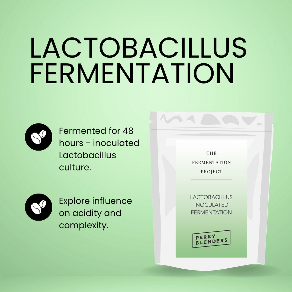 The Fermentation Project x James Hoffmann (Pre Order)