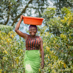 Coffee Of The Month - Bukonzo Dream