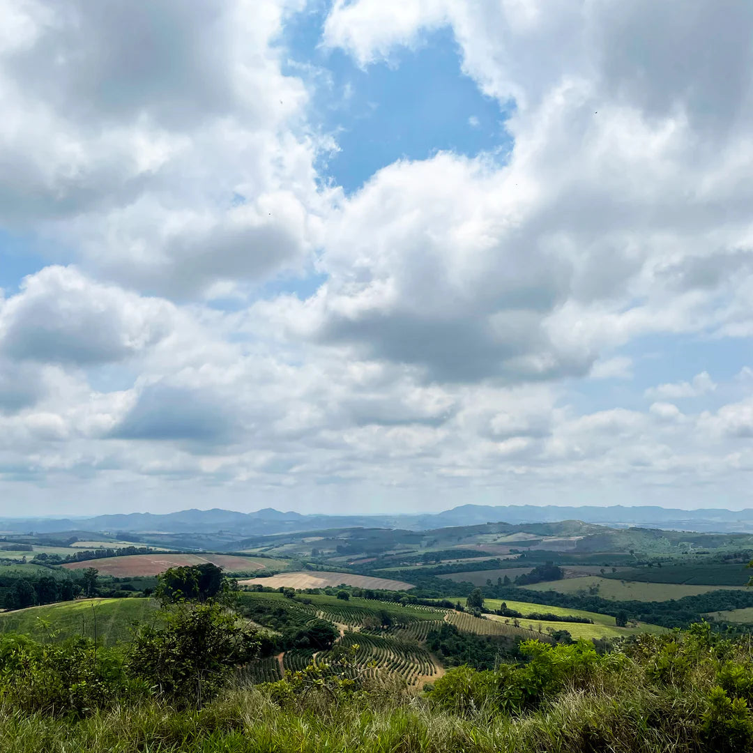 Scenic view of a valley with green fields and trees under a blue sky with white clouds.