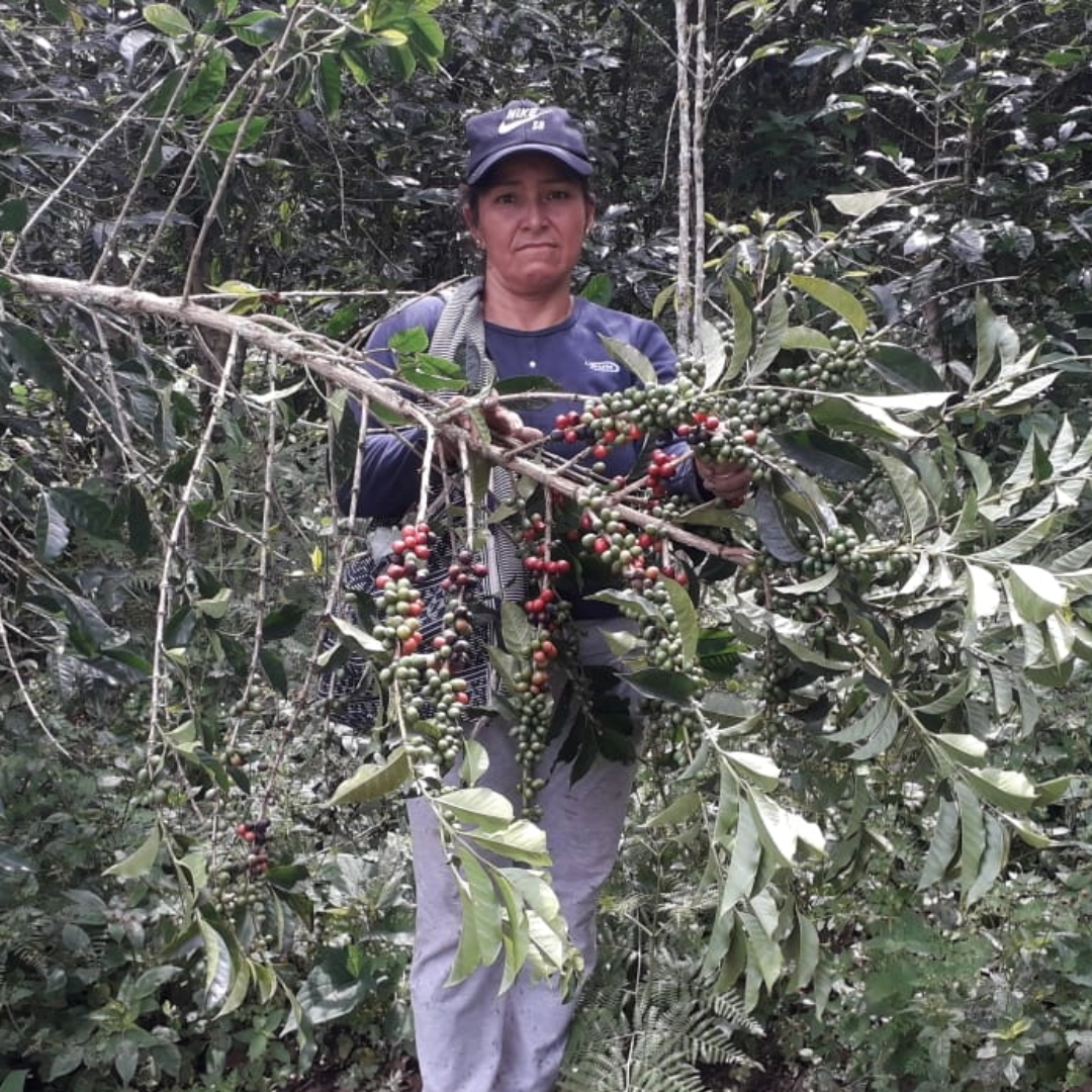 Coffee Of The Month - UKUKU