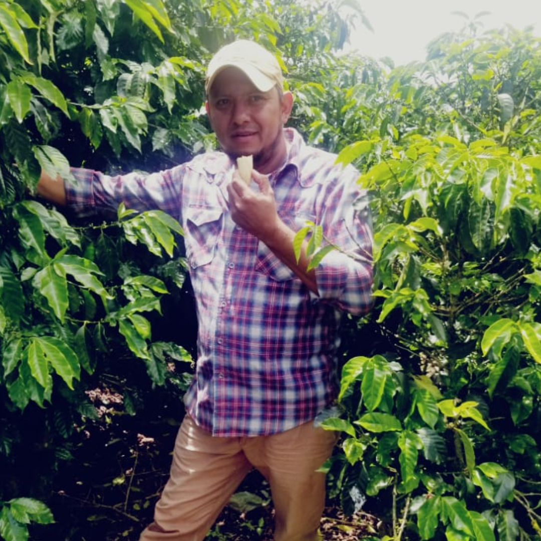 Coffee Of The Month - Colada