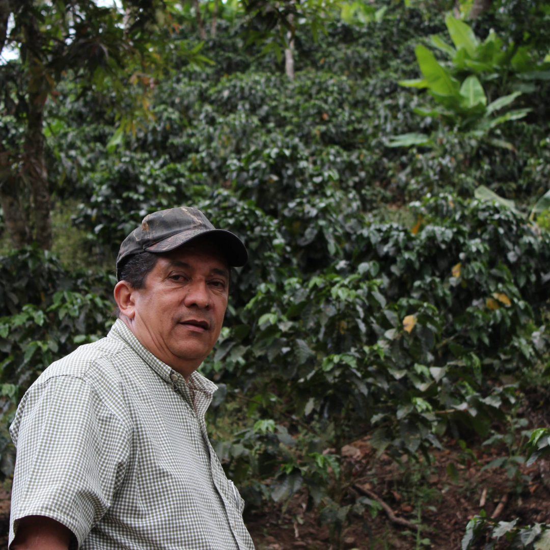 Coffee Of The Month - Purple Rain