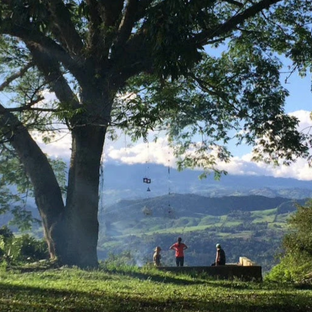 Coffee Of The Month - STRAWBERRY LACES