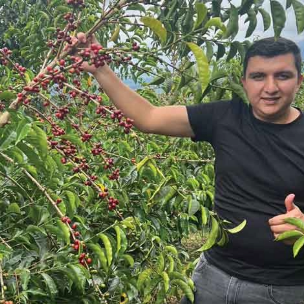 Coffee Of The Month - STRAWBERRY LACES