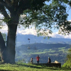 Christmas Blend - 10th Anniversary Edition