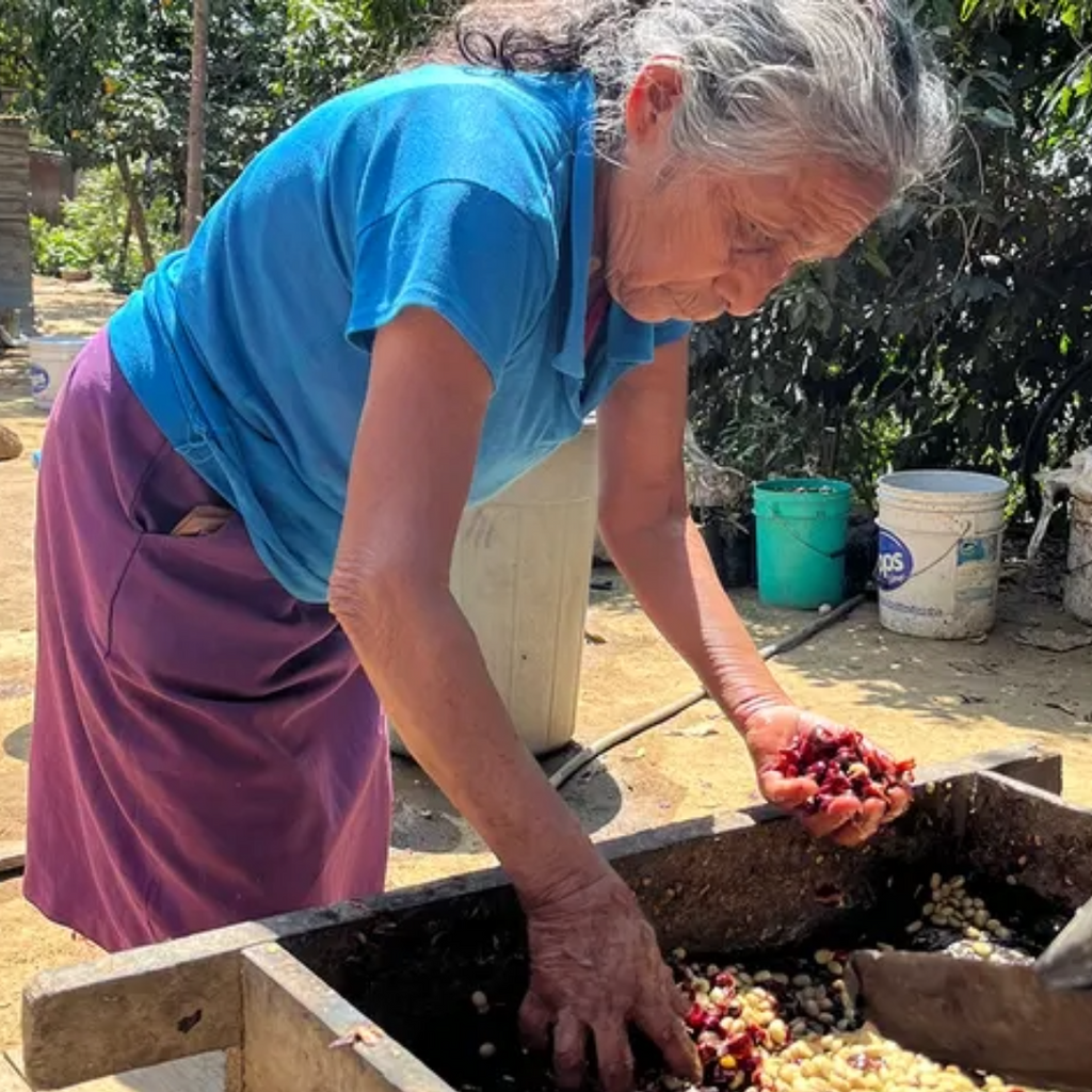 Coffee Of The Month - Las Tejedoras