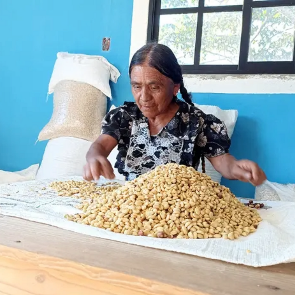 Coffee Of The Month - Las Tejedoras
