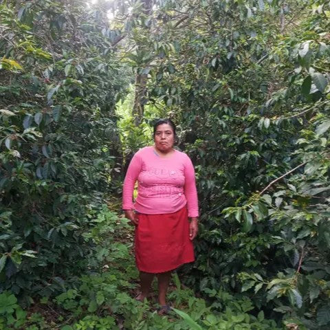 Coffee Of The Month - Las Tejedoras