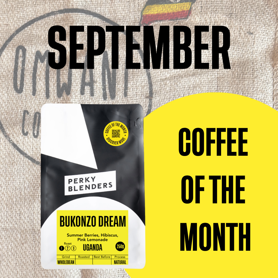 A coffee bag for Perky Blenders 'Bukonzo Dream' is shown on a textured burlap-style background with large promotional text reading 'SEPTEMBER' and 'COFFEE OF THE MONTH'. The bag is black and white with a yellow label, and a large yellow graphic overlay appears on the right.