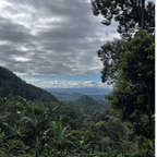 Single Origin - Nicaragua El Diablo - Natural