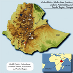 Single Origin -  Ethiopia Bedesa - Natural