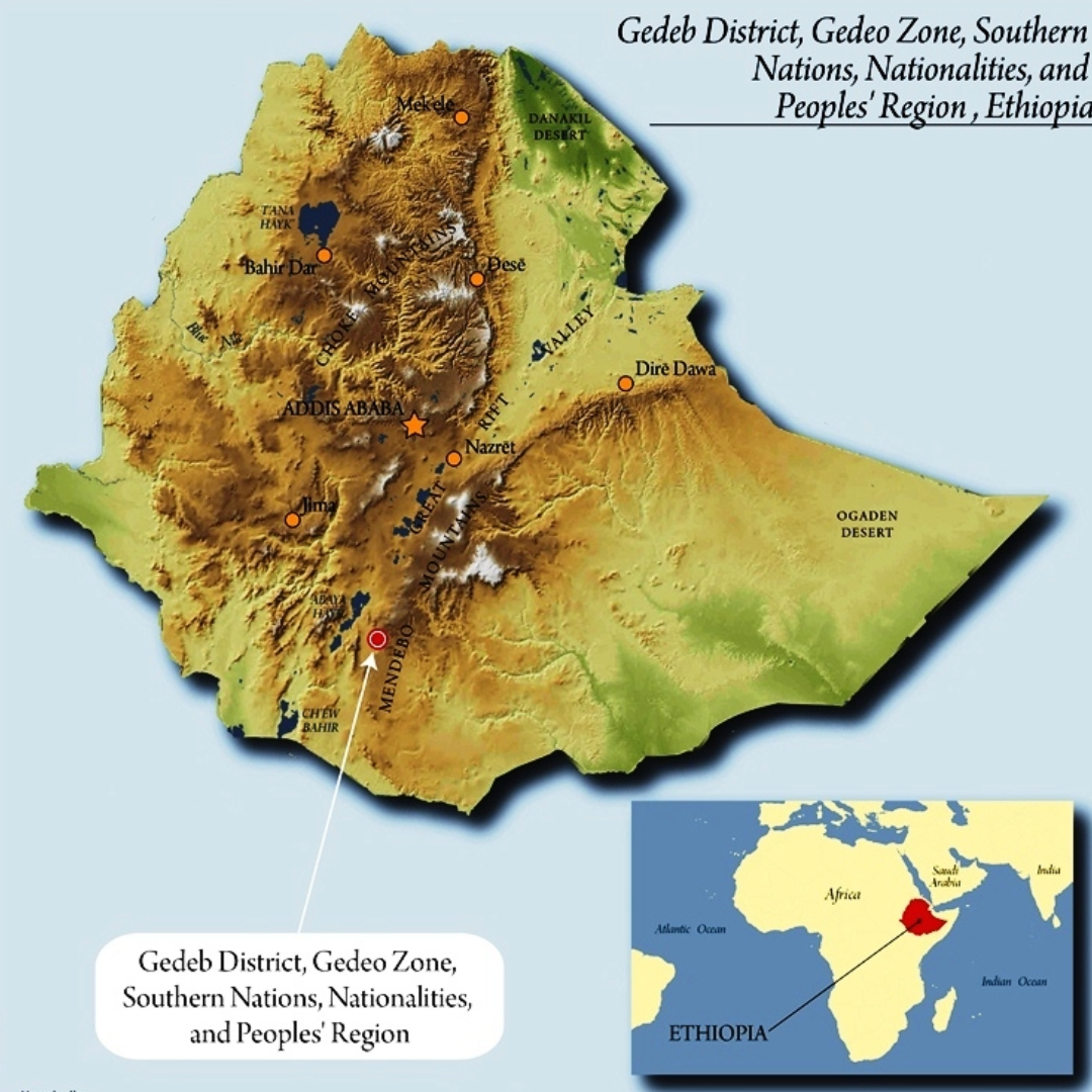 Single Origin -  Ethiopia Bedesa - Natural