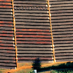 Single Origin -  Ethiopia Bedesa - Natural