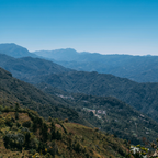 Coffee Of The Month - Winter Bloom