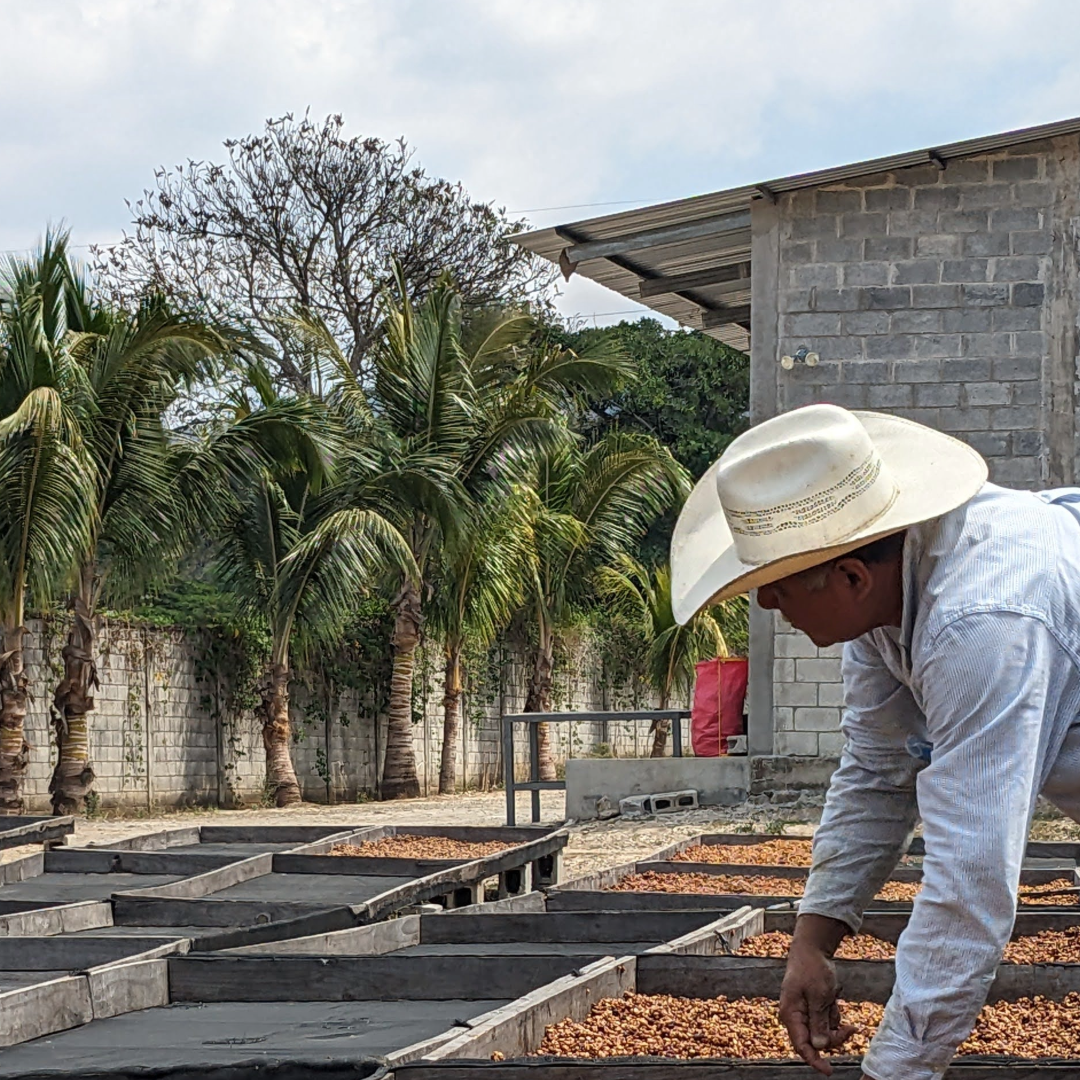 Coffee Of The Month - Winter Bloom