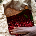 Single Origin -  Ethiopia