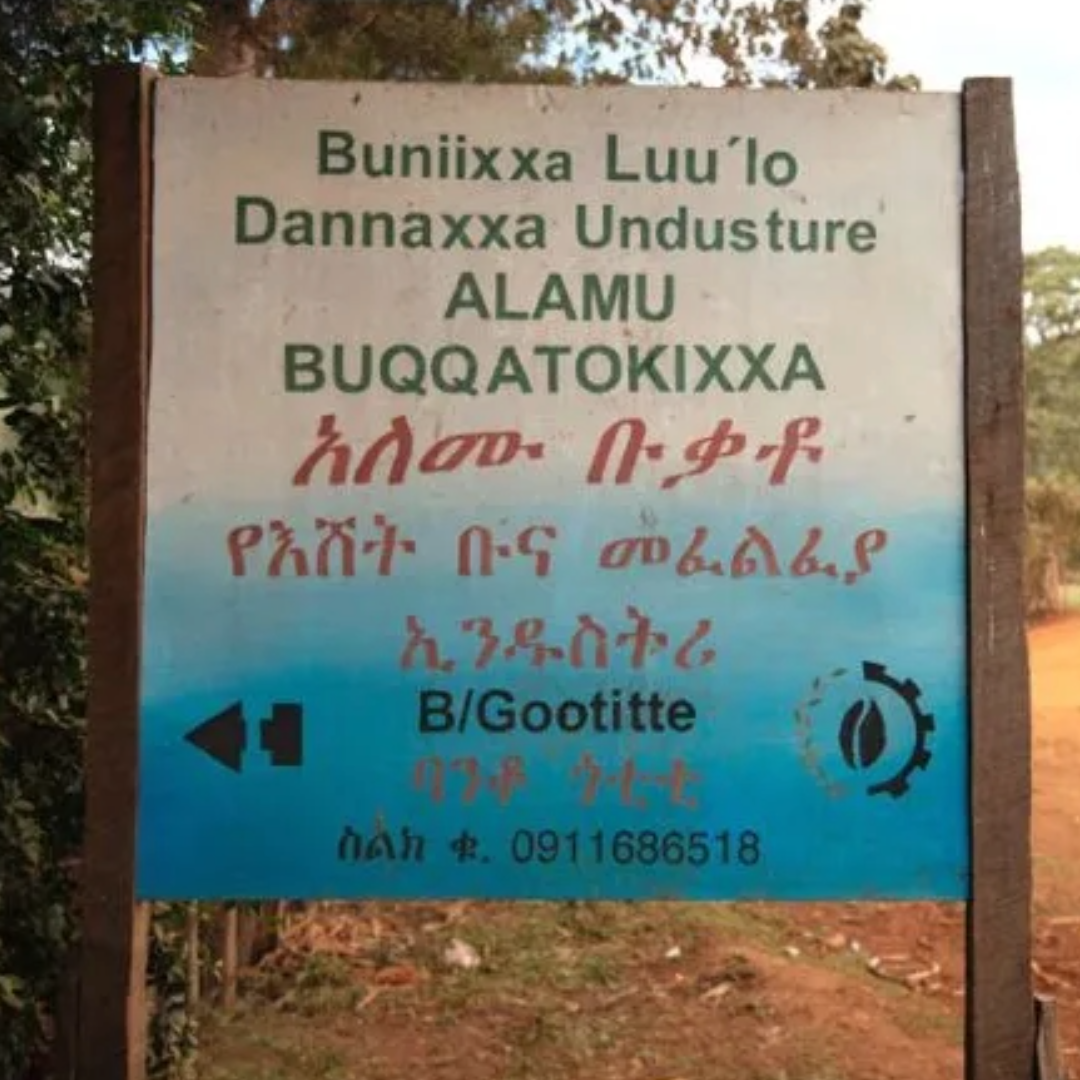 Single Origin -  Ethiopia