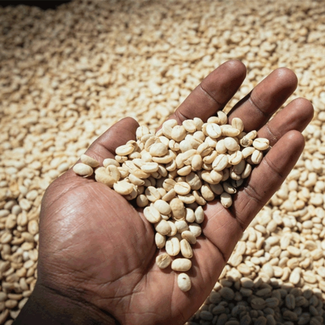 Single Origin -  Ethiopia