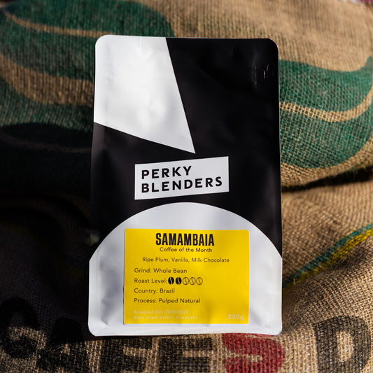 Coffee Of The Month - Samambaia Yellow Bourbon