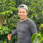 Man standing among coffee trees in a coffee plantation