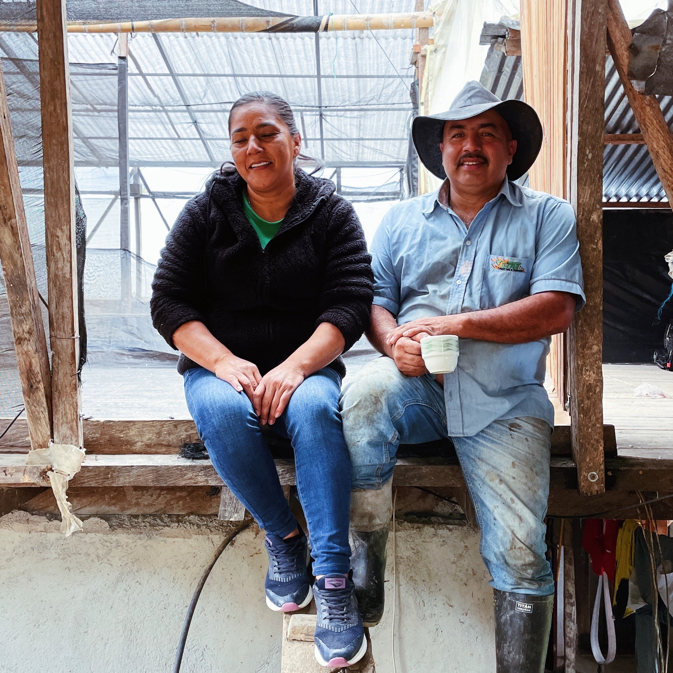 Two people sitting on a wooden platform inside a greenhouse.